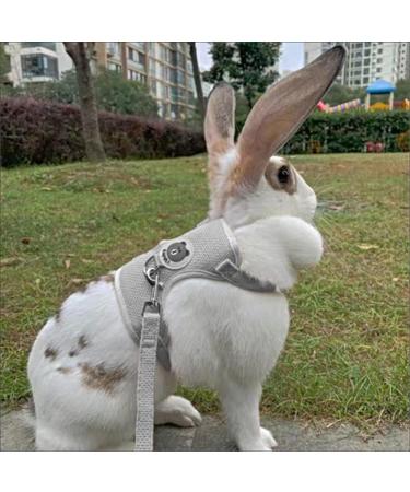 Adjustable Rabbit Leash Rabbit Leash Rabbit Accessories Cat Harness Set with Lead Pet Harness and Lead for Bunny Cat Little Pet Walking 27-35 cm 1.20 m - Buy Online on GoSupps.com