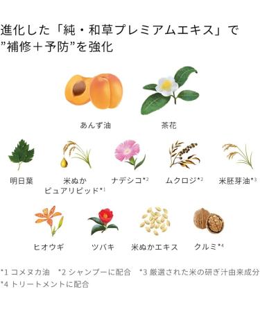 Ichikami Dense W Moisturizing Care Hair Conditioner Pump - 480ml - Buy Online on GoSupps.com