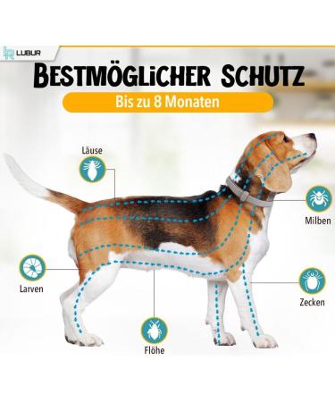 Lubur Flea & Tick Collar for Dogs & Cats - Natural 8-Month Protection Against Fleas & Ticks - Black Color - Buy Online on GoSupps.com