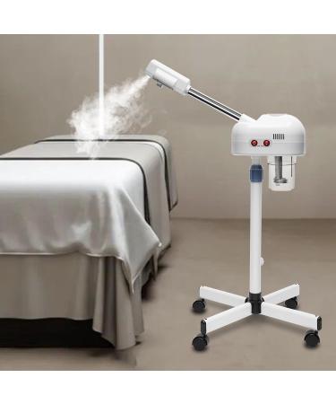visage vaporisateur spray chaud domicile traitement du visage double spray instrument hydratation vaporisateur froid et chaud machine spray vapeur instrument beaut 220V - Buy Online on GoSupps.com
