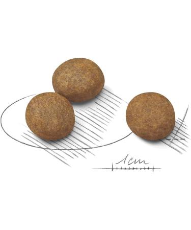 Royal Canin Maxi Puppy 4 kg Chicken 4 kg (Pack of 1) - Buy Online on GoSupps.com