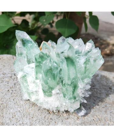 300-1000g Garden Crystal Cluster Natural Green Ghost Quartz raw Gemstone Specimen Home Decor Suitable for Home HOMEZHOU (Size : 800-900g) - Buy Online on GoSupps.com