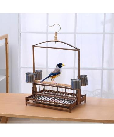 Cage Parakeet Stand Cockatoo Interactive Stand with Stainless Steel Food Cup and Small Parrot Chassis Birdcages Decor (Size : Small) (Small) () - Buy Online on GoSupps.com