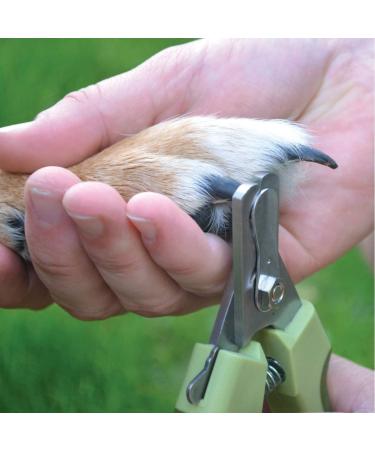 Safari Stainless Steel Nail Trimmer for Small Dogs - Durable & Easy to Use - Buy Online on GoSupps.com