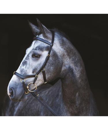 Horseware Rambo Micklem Multibridle 3 in 1 - Customizable Size & Color (Black WB) | International Shipping Available - Buy Online on GoSupps.com