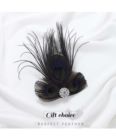 GORTIN 1920s Flapper Feather Hair Clip - Great Gatsby Headband Black Peacock Feather Headpiece - Rhinestone Art Deco Headwear for Women & Girls - Buy Online on GoSupps.com