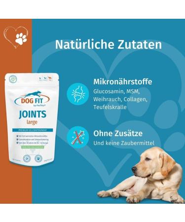 Dog Fit by Prethis - Joint Health for Large Dogs | Glucosamine MSM Collagen | No Additives | Ideal for Arthrosis Patellar Luxation Spondylosis & Hip Dysplasia - Buy Online on GoSupps.com