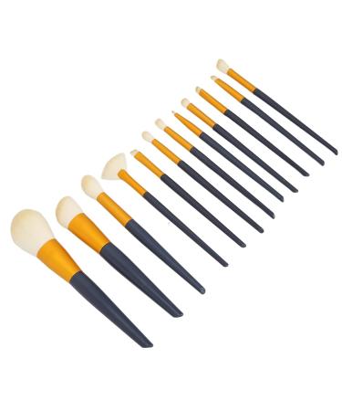 ZJchao Makeup Brushes Set - 12 Soft Foundation Eyeshadow & Blush Brushes | Beginner Friendly & Versatile | Perfect Gift for Makeup Lovers - Buy Online on GoSupps.com