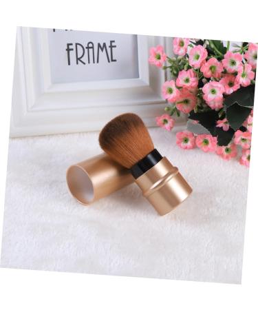 minkissy Makeup Professional Makeup Brush Blush Brush Powder Brush Cosmetics Brush Paint Rouge - Buy Online on GoSupps.com