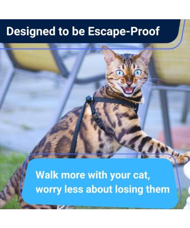 Cat Harness and Leash - Escape Proof Choke Free Lightweight OutdoorBengal - Vest + Lead for Walking Cats (M) Adult Black - Buy Online on GoSupps.com