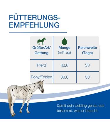 Nutrilabs Rascave Hepar Juice for Horses - 1L Milk Thistle Supplement for Liver & Kidney Health - Premium Nutritional Products for Horses - Buy Online on GoSupps.com