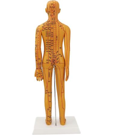20.9-Inch Female Acupuncture Training Puppet Model - Clear Anatomical Acupuncture Points for Effective Learning - Buy Online on GoSupps.com