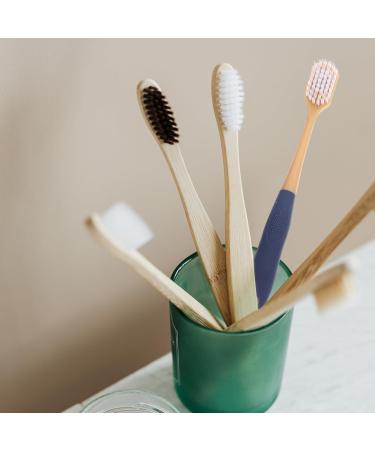 Beavorty Travel Toothbrush - 36 Soft Bristle Portable Toothbrushes for Hiking Camping & Business Trips - Buy Online on GoSupps.com