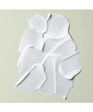 DevaCurl Styling Cream 5.1 Fl Oz - Moisturizing Definer for Touchable Curls - Buy Online on GoSupps.com