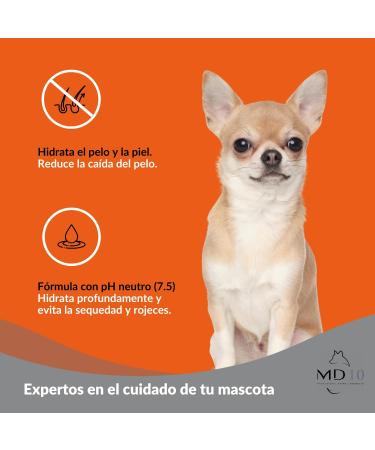 Shampoo for Chihuahua - Moisturizing and Dermoprotective Shampoo for Dogs with Vitamin D-Panthenol - Softens and Prevents Hair Loss - 300 ML - MD-10 COLLECTION - Buy Online on GoSupps.com