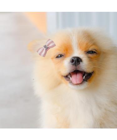 Hayaww 5 PCs Dog Hair Clips & Loops - Pet Accessories for Small Dogs & Cats - Blue Dog Arches & Hair Needles - Buy Online on GoSupps.com