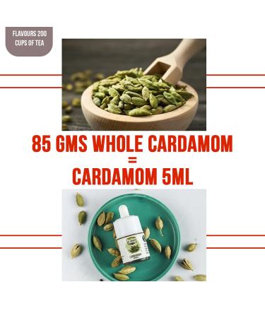 Premium Cardamom Extract - Ideal for Tea, Coffee, Cooking, Baking, Desserts | Rich Aroma & Quality | Pure Whole Green Cardamom Pod | Vegan | 0.17oz - Buy Online on GoSupps.com