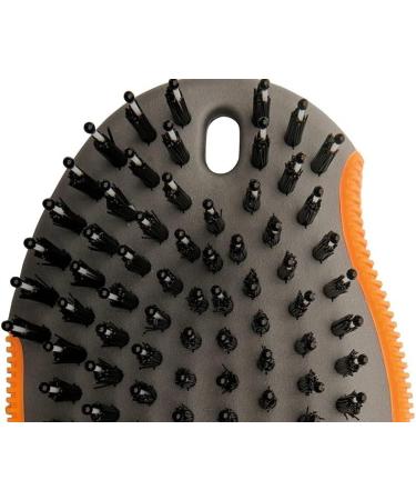 Wahl Canada Palm Pal Dog Grooming Brush Smoothing Dog Brush Dog and Puppy Brush Handheld Dog Brush Charcoal infused bristles - Model 58458 - Buy Online on GoSupps.com