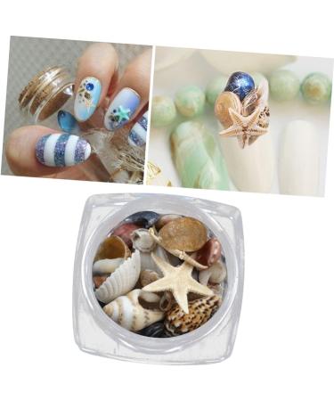 minkissy 1 Box Conch Jewelry Nail Art Decoration Nail Decorations for Nail Art Shell Decor Nail Jewelry Conch Shells Nail Decoration Nail Ornament Nail Stickers 3d False Nails - Buy Online on GoSupps.com