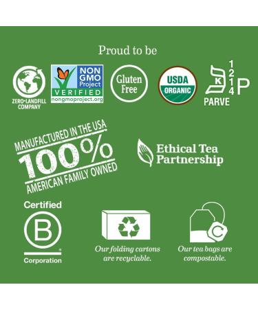 steep by Bigelow Organic Pure Green Tea Bags 20 Count Box (Pack of 6) Caffeinated Green Tea 120 Tea Bags Total - Buy Online on GoSupps.com