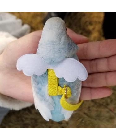 Adjustable Bird Harness Leash with Cute Wing for Parrots - L Blue - Buy Online on GoSupps.com