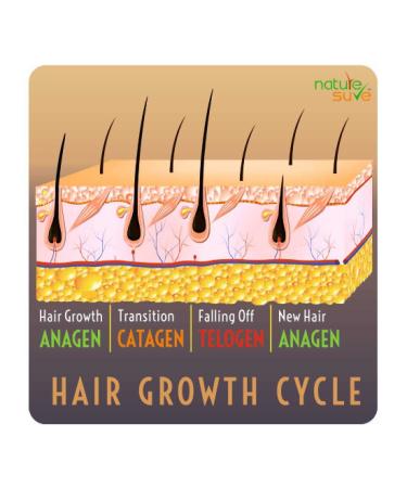 Thumba Wonder Hair Oil for Men and Women - 110ml Pack | Nourish & Revitalize Hair - Buy Internationally - Buy Online on GoSupps.com