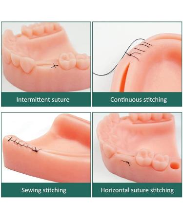 Buy Sumbitod Tooth Seam Practice Model - 3-in-1 Oral Seam Training Module | Soft Silicone for Gingival Wound Simulation - International Shipping Available - Buy Online on GoSupps.com