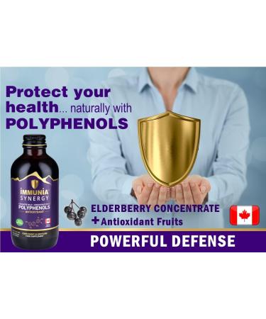Immunia Synergy Elderberry Supplement for Immune Support - Antioxidant Rich Blend with Canadian Elderberries - Buy Online on GoSupps.com