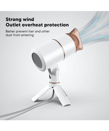 Ionic Hair Blow Dryer Negative Ions Blow Dryer Cold Hot Air Thermostatic Lazy Hair Dryer Salon Styling Tool Fast Drying for Hair Care(US Plug 110v) - Buy Online on GoSupps.com