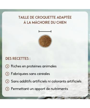 NUTRIVET - INNE Dog - Grain-free kibble - Senior Dog - Poultry - 80% ingredients of animal origin - 3 kg - Buy Online on GoSupps.com