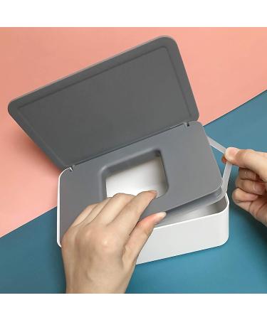 2-Piece Wet Wipes Box Set | Baby Toilet Paper Holder | Towel & Napkin Box with Lid | Gray/White Handkerchief Storage for Home - Buy Online on GoSupps.com