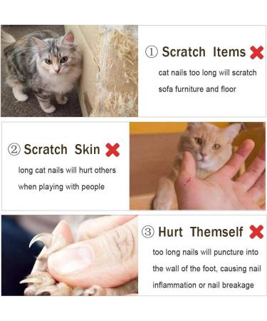 VICTHY Pet Nail Clippers for Small Animals - Professional Claw Toenail Trimmer for Cats, Dogs, Kittens, Puppies, Bunnies, Rabbits, Birds, and Ferrets - Buy Online on GoSupps.com
