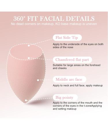 AUAUY 6 Pcs Makeup Sponges Blender Set 4 Pcs Professional Beauty Sponge Foundation Blending Blender with 1 Powder Puff 1 Sponge Holder Case Multi-colored Makeup Sponges for Cream Liquid and Powder 4pcs-Pink - Buy Online on GoSupps.com