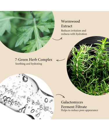 Original Herb Wormwood Cleansing Water 300ml | Natural Skin Care for Radiant Complexion - Shop Internationally - Buy Online on GoSupps.com