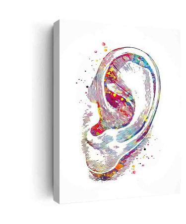 Wall Art For Living Room Decor Ear Watercolor Print Human Ear Audiologist Gift Audiology Poster Science Art Ear Diagram Ear Poster Office Decor Medical Art- 12 in x16 in-Ready to hang red-1 12 in x16 in-Ready to hang