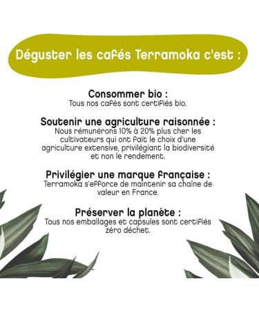 TERRAMOKA 60 Capsules Organic Coffee of excellence 80% Pure Arabica from Brazil and Mexico - Compatible with Nespresso Capsule machines - Rich and tasty - Zero Waste - Roasted in France - Buy Online on GoSupps.com