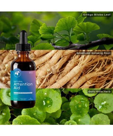 Mountain Meadow Kids Natural Attention-Aid - 2oz - a Calming Focus Support - Buy Online on GoSupps.com