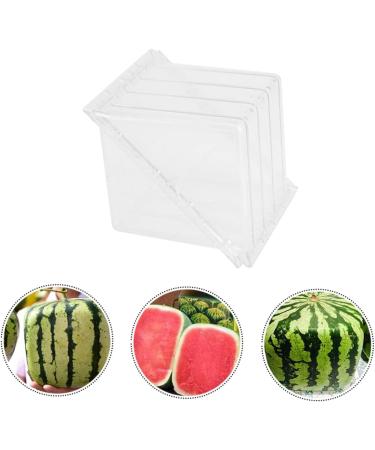 FELTECHELECTR Pumpkin Tools Watermelon Growing for Tool Gardening Supplies Fruit Former Cucumber 15x15cm Transparent - Buy Online on GoSupps.com