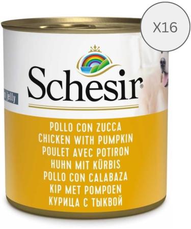 Schesir Wet Food for Adult Dogs with Chicken and Pumpkin Flavor Fillets in Soft Jelly - Total 4.56 kg (16 cans of 285G) - Buy Online on GoSupps.com