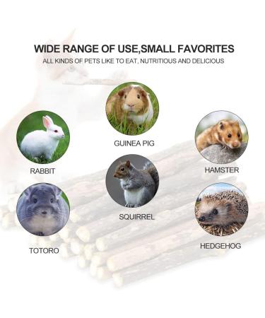 Baosroy Chinchilla Apple Sticks - Natural Treats for Rabbits Hamsters and Guinea Pigs | 12PCS - Buy Online on GoSupps.com