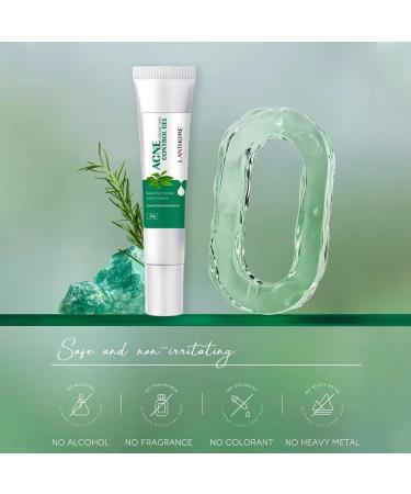 Anti Acne Face Cream Tea Tree Face Ance Gel Spot Cream for Acne Treatment and Spot Treatment Shrink Pores Acne Scars Recovery Control Sebum Secretion Relieves Inflammation Redness & Anti-Bacterial - Buy Online on GoSupps.com