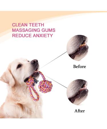 Vivifying Dog Rope Toys Pack of 2 Interactive Braided Cotton Pet Chew Rope Toys for Dog Teeth Cleaning 2 PCS Dog Rope Toy With Ball - Buy Online on GoSupps.com