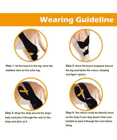 Petmingham Dog Knee Brace for ACL Knee Cap Dislocation Arthritis - Joint Pain Muscle Sore - Better Recovery - Reduces Pain and Inflammation -Adjustable Dog Rear Leg Braces (Size: XXS) XX-Small - Buy Online on GoSupps.com