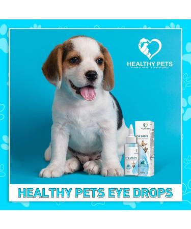 Pet Eye Drops: Antibiotic Ointment for Infection Relief in Dogs & Cats - Buy Online on GoSupps.com