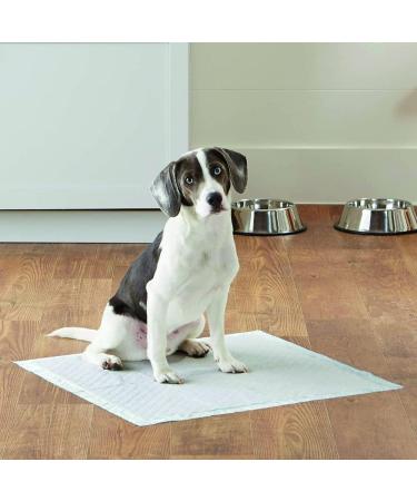 Croci Super Nappy Hygiene Mats for Dogs - 60x60 cm 50 Pieces Ultra Absorbent Tear-Resistant Odor-Inhibiting - Ideal for Dogs & Cats - Buy Online on GoSupps.com