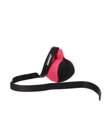 Dingo Gear Training Toy Ball 9 cm Black-Rosa with handle 65 cm French material nylcott training game Apport igp obedience S02816 Small ball with handle pink