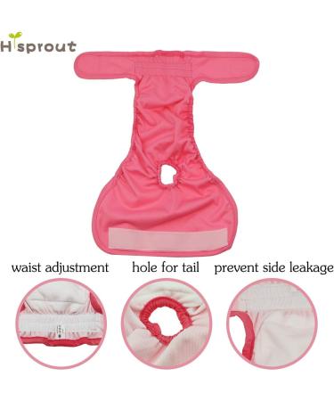 Hisprout Female Dog Diaper - Reusable Washable & Durable | Colorful Union Design - Buy Online on GoSupps.com