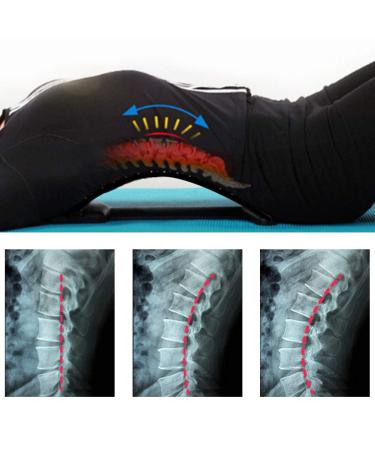 HOOLEEY ABS Lumbar Support Back Muscle Stretcher Pad - Pain Relief & Posture Correction | International Shipping - Buy Online on GoSupps.com