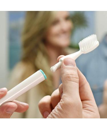 Toothbrush Handle and 6 Biodegradable Replacement Heads (Red)