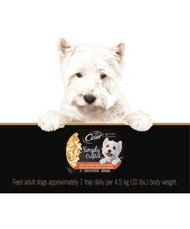 CESAR Simply Crafted Wet Dog Food Chicken Carrots & Green Beans - Chicken Sweet Potato Apple Barley & Spinach 8x37g Variety Pack - Buy Online on GoSupps.com